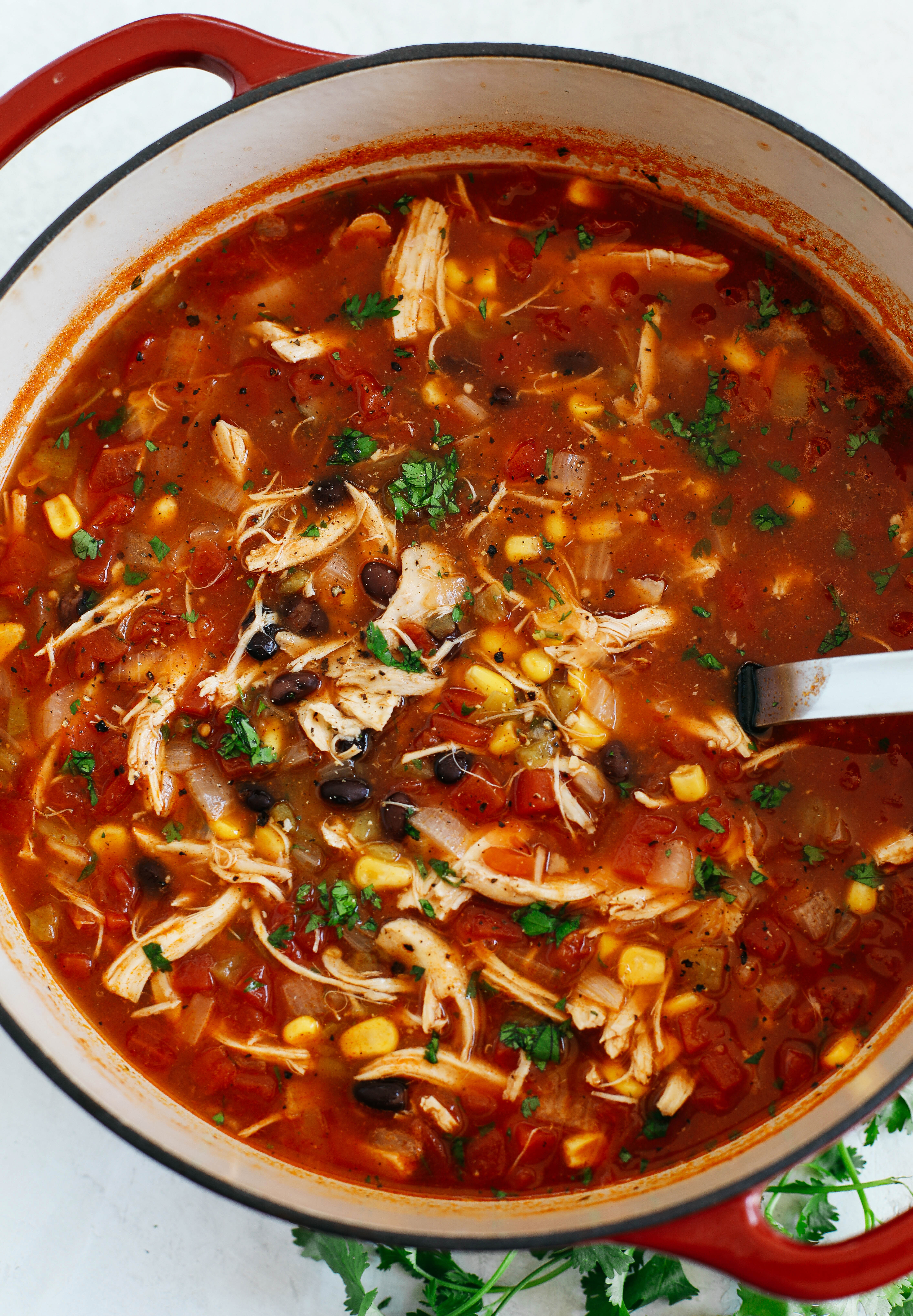 Healthy Chicken Tortilla Soup for the perfect weeknight meal that can easily be made in your instant pot, slow cooker or even right on the stove!