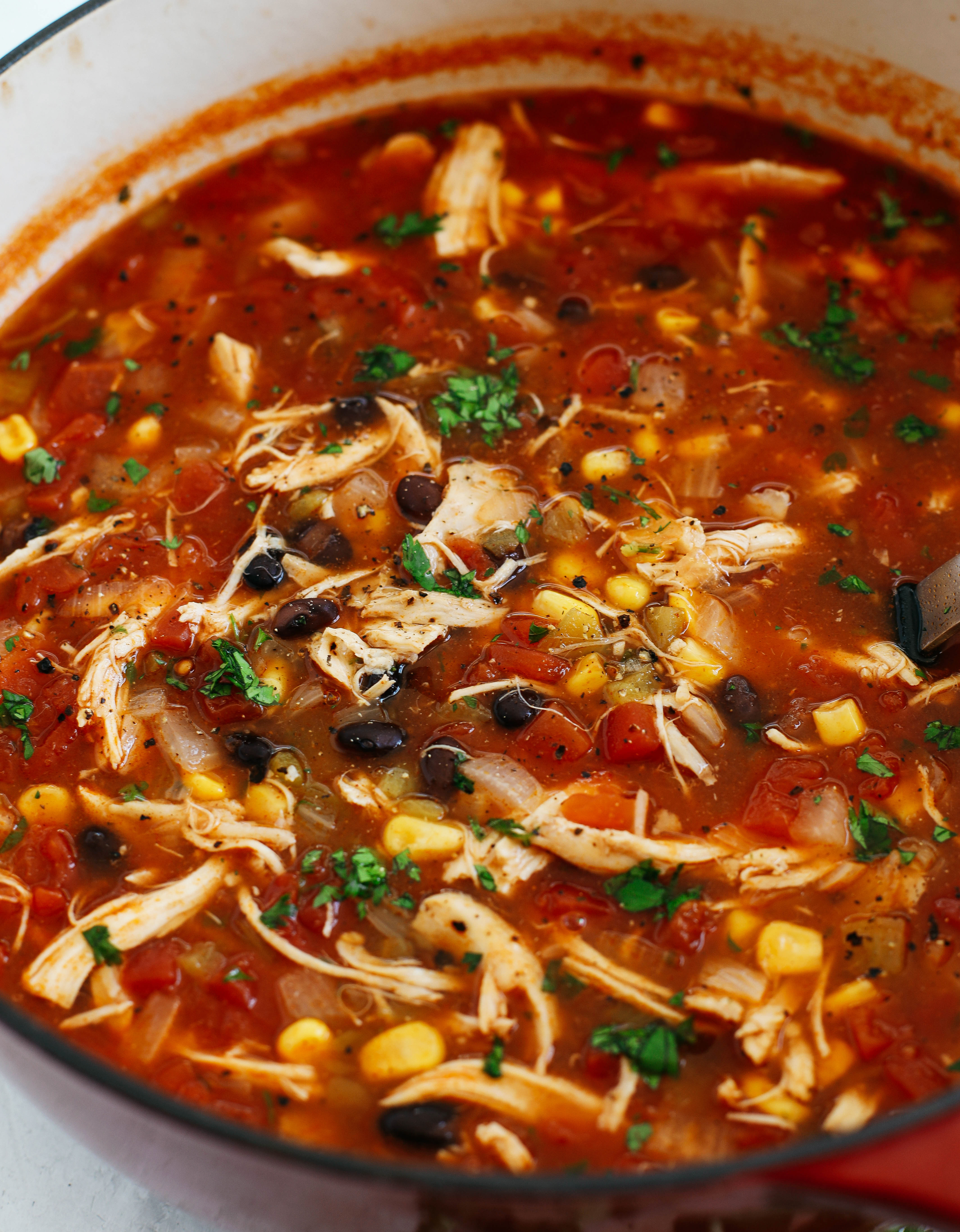 Healthy Chicken Tortilla Soup for the perfect weeknight meal that can easily be made in your instant pot, slow cooker or even right on the stove!