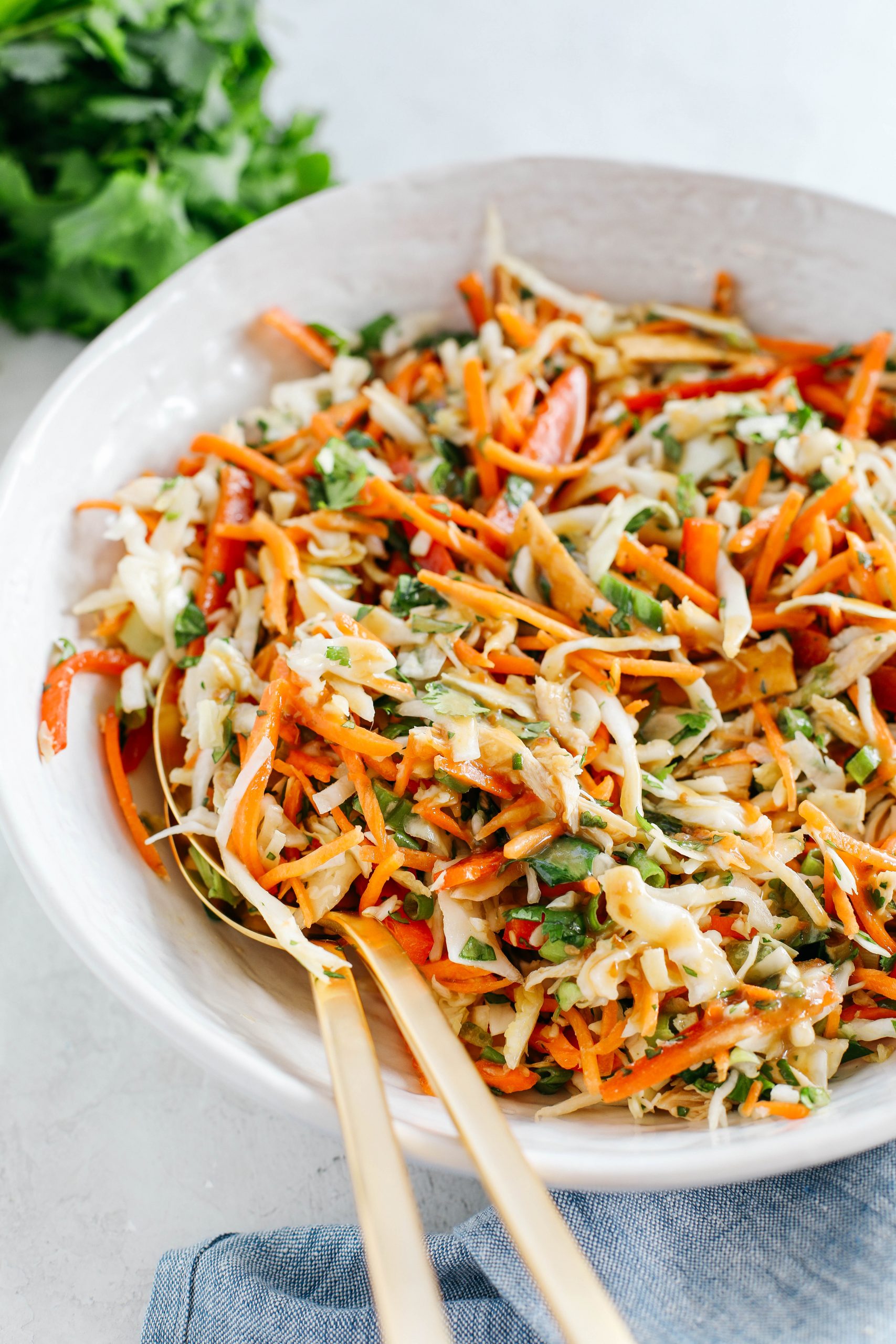 Fresh and crunchy Thai Chicken Salad filled with cabbage, bell peppers, carrots and cilantro all tossed together with a delicious ginger-sesame vinaigrette!