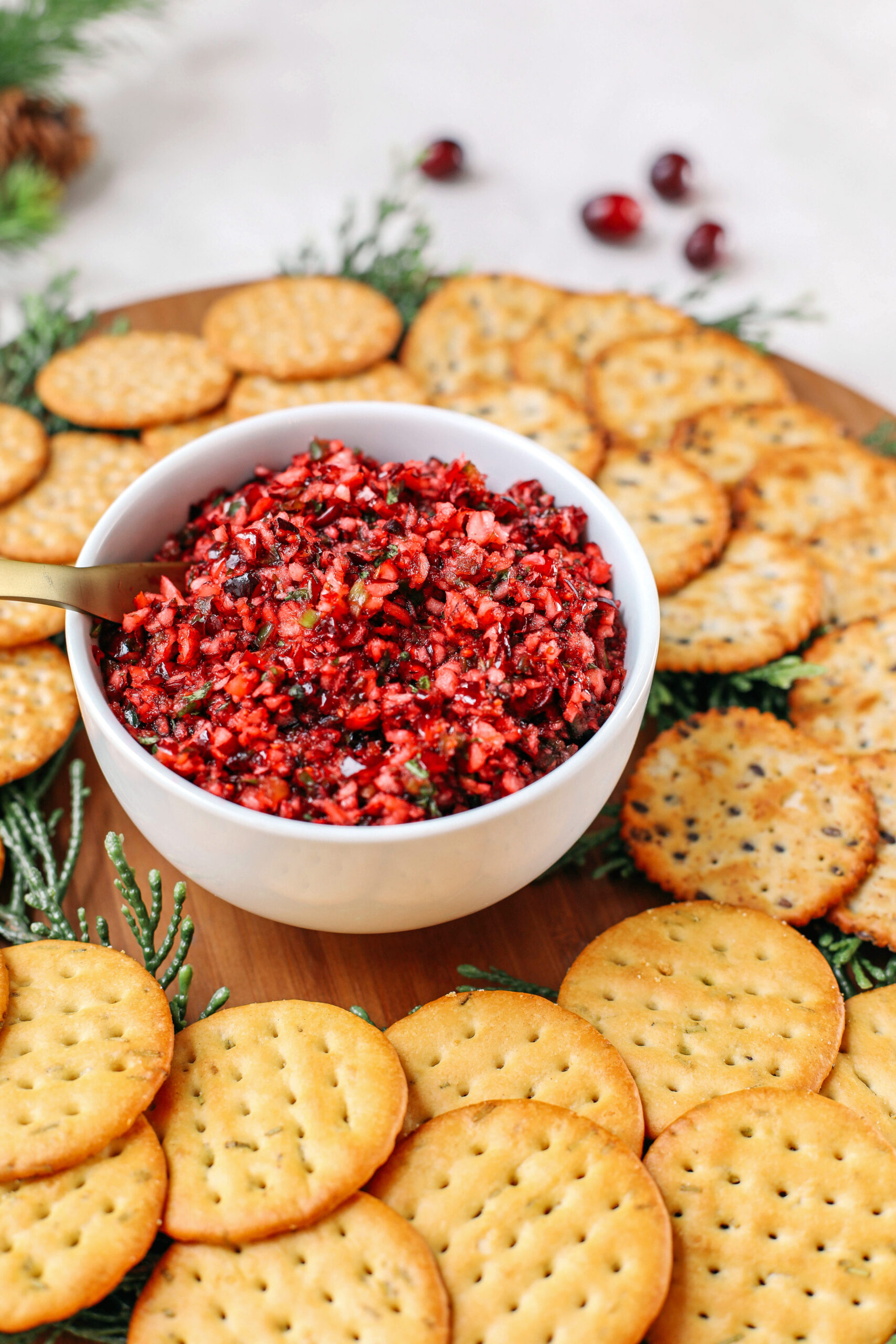 This sweet and spicy Cranberry Salsa makes the perfect holiday appetizer that is gluten-free, dairy-free, vegan and can be easily made in just minutes!