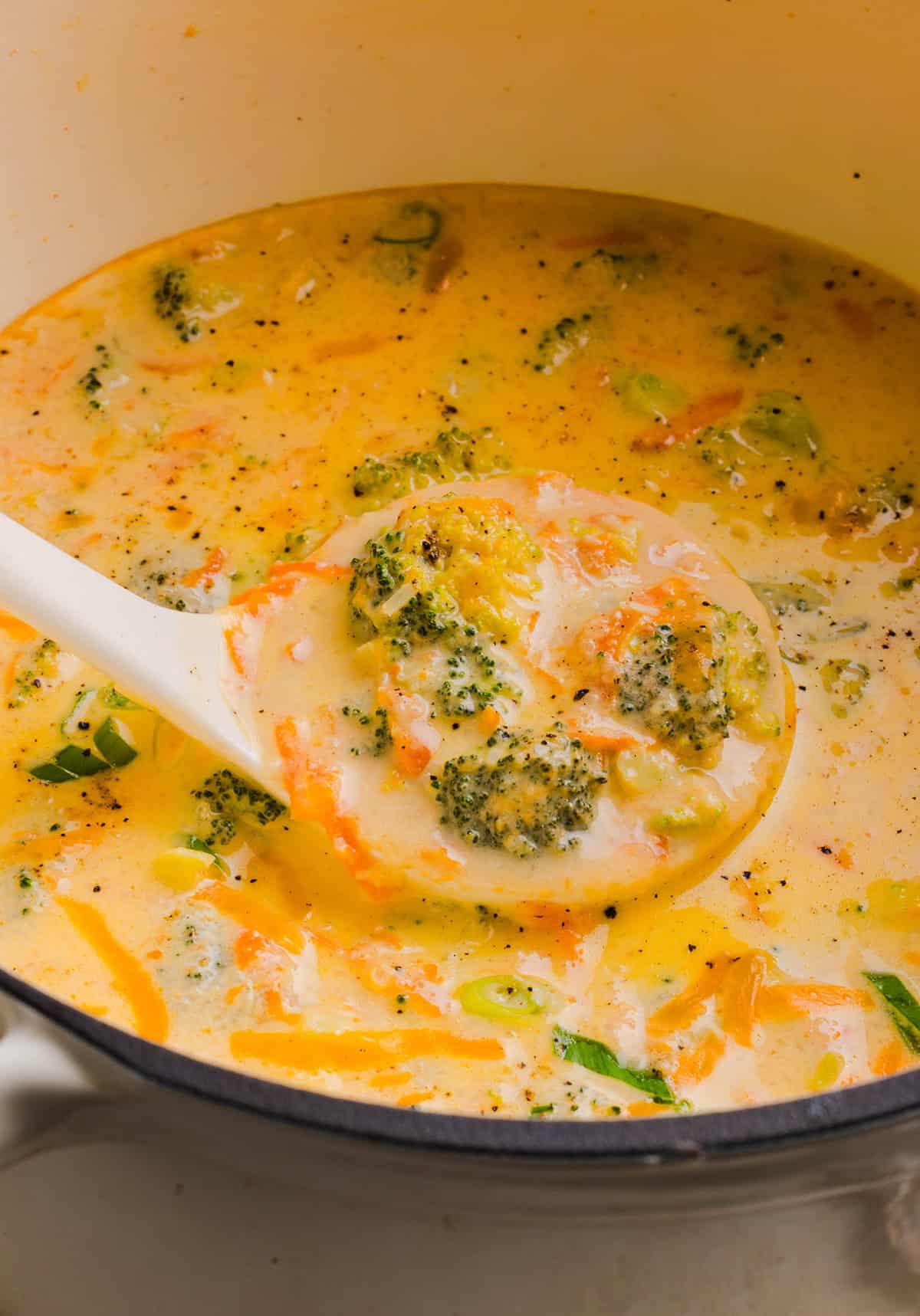 Creamy broccoli cheddar soup with broccoli, carrots and shredded cheddar cheese