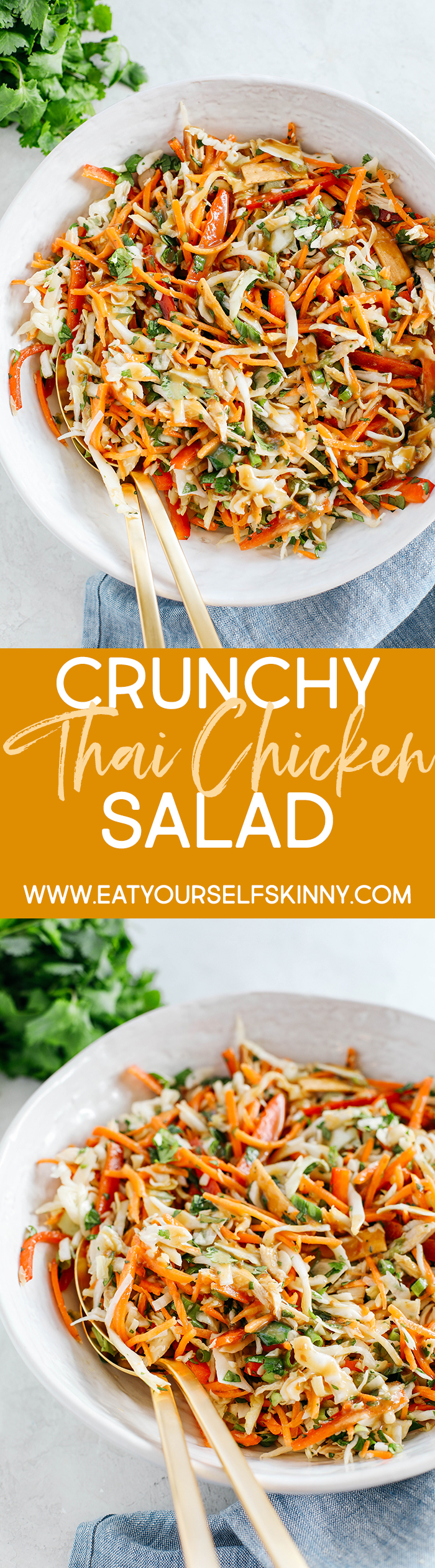 Fresh and crunchy Thai Chicken Salad filled with cabbage, bell peppers, carrots and cilantro all tossed together with a delicious ginger-sesame vinaigrette!