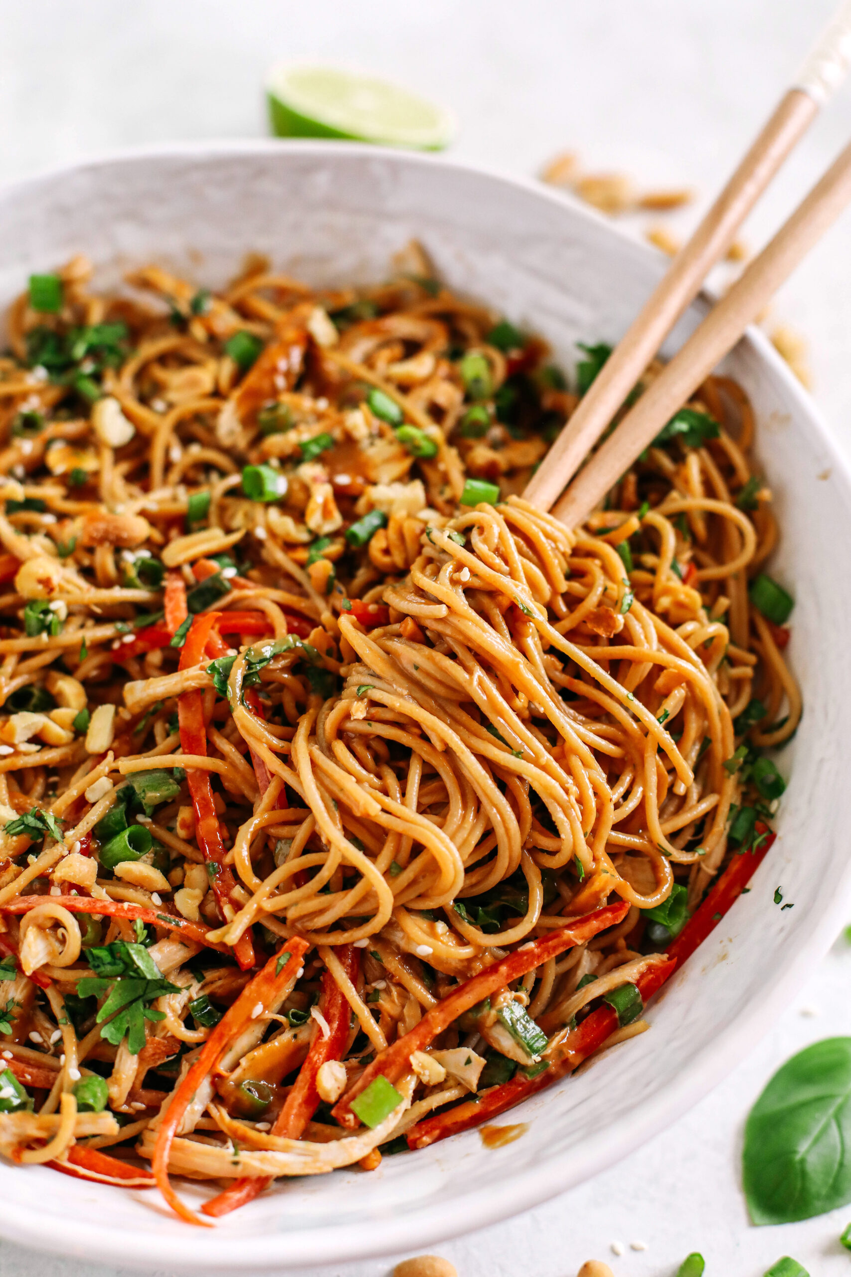 These Asian Peanut Noodles are loaded with shredded chicken, bell pepper, green onions, crunchy peanuts and fresh herbs all tossed together in a delicious peanut sauce!