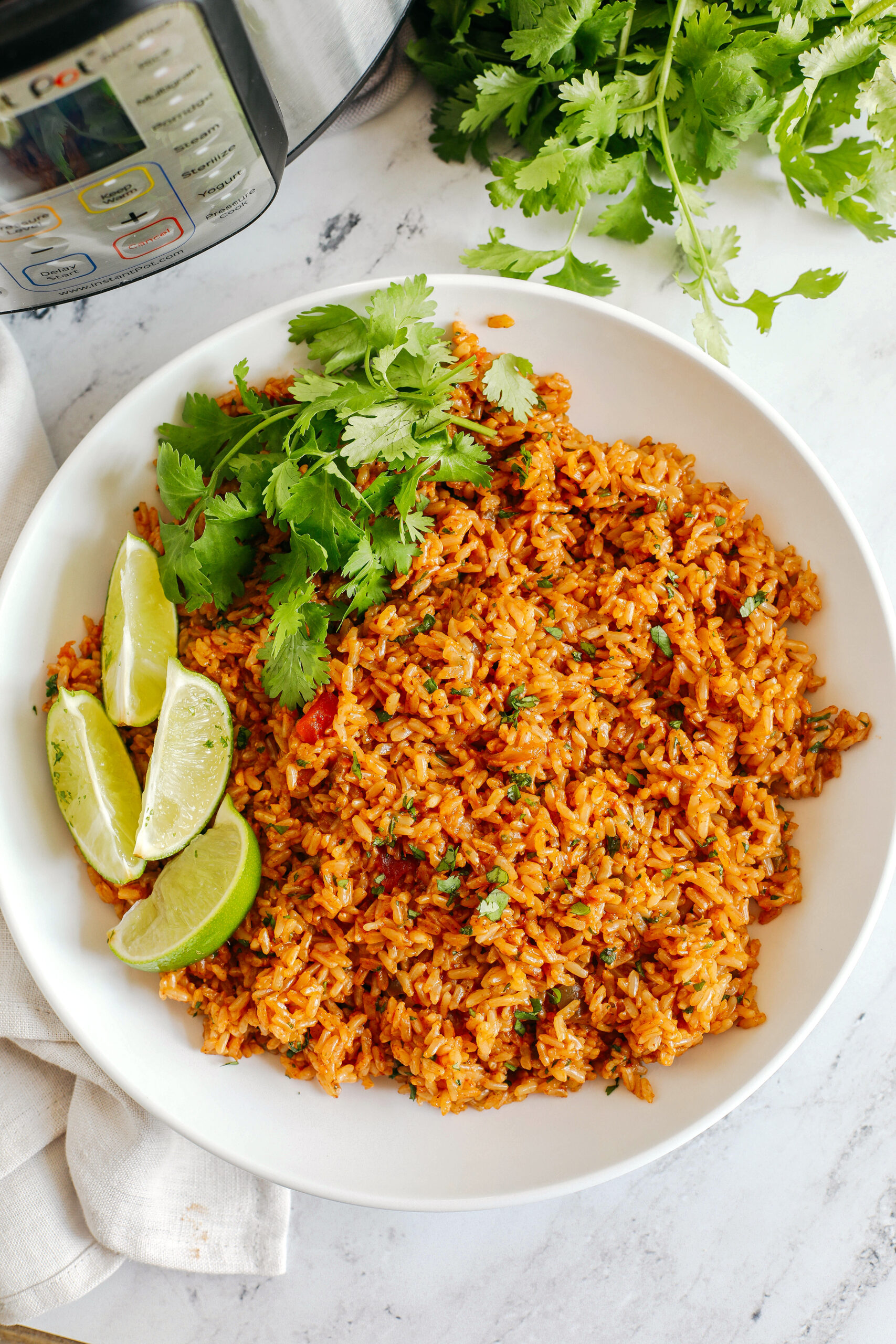 Super flavorful Mexican Brown Rice easily made right in your Instant Pot along with your favorite salsa for the perfect side dish that comes out perfectly fluffy and delicious every single time!