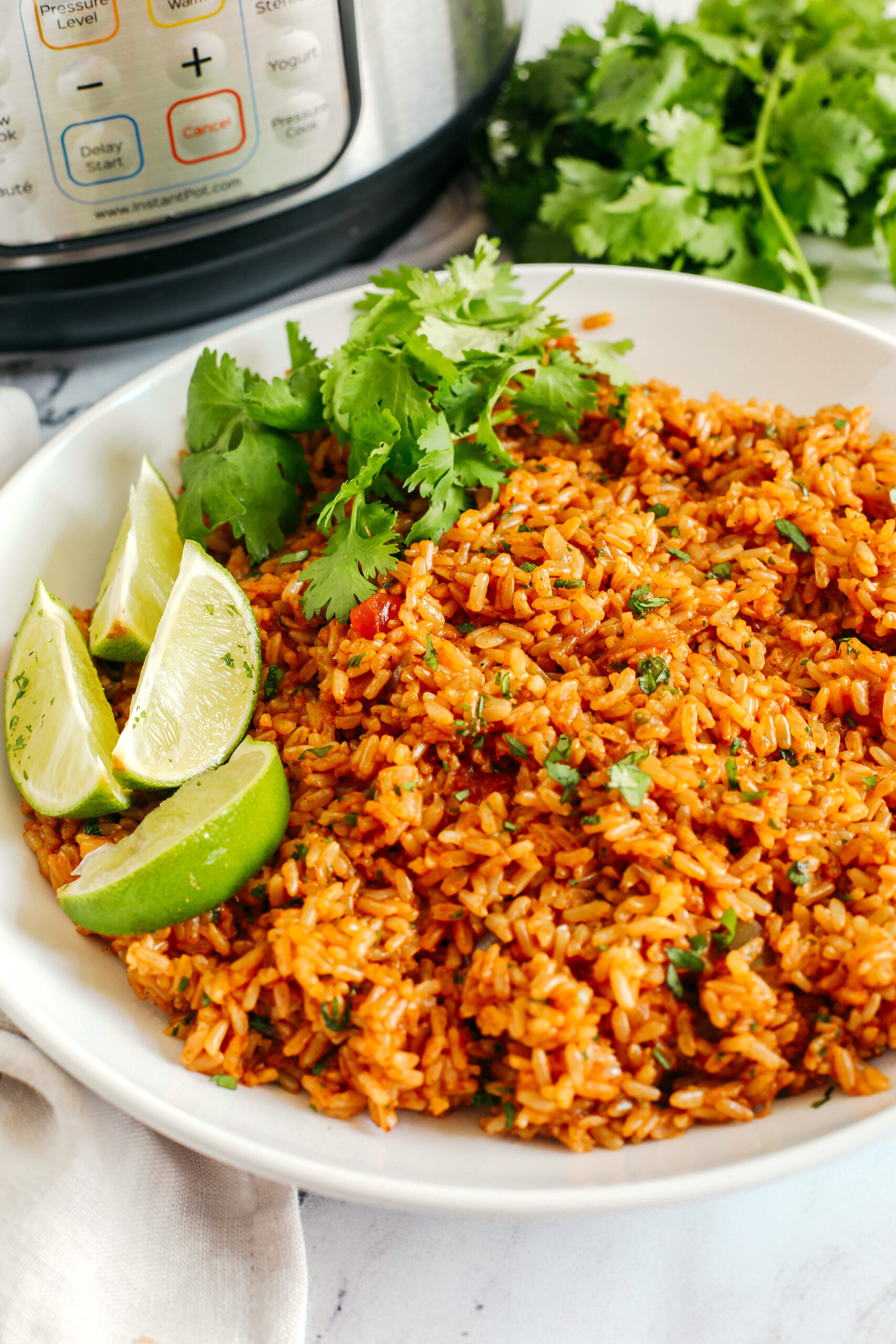 Super flavorful Mexican Brown Rice easily made right in your Instant Pot along with your favorite salsa for the perfect side dish that comes out perfectly fluffy and delicious every single time!