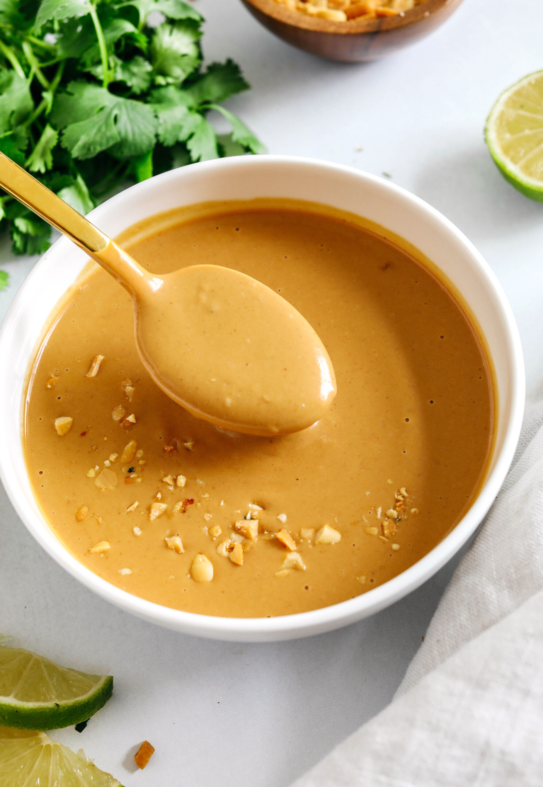 The most delicious Peanut Dipping Sauce loaded with flavors like garlic, ginger, lime and honey all easily made in just 5 minutes! Perfect drizzled over chicken, noodles, salads, wraps and so much more!