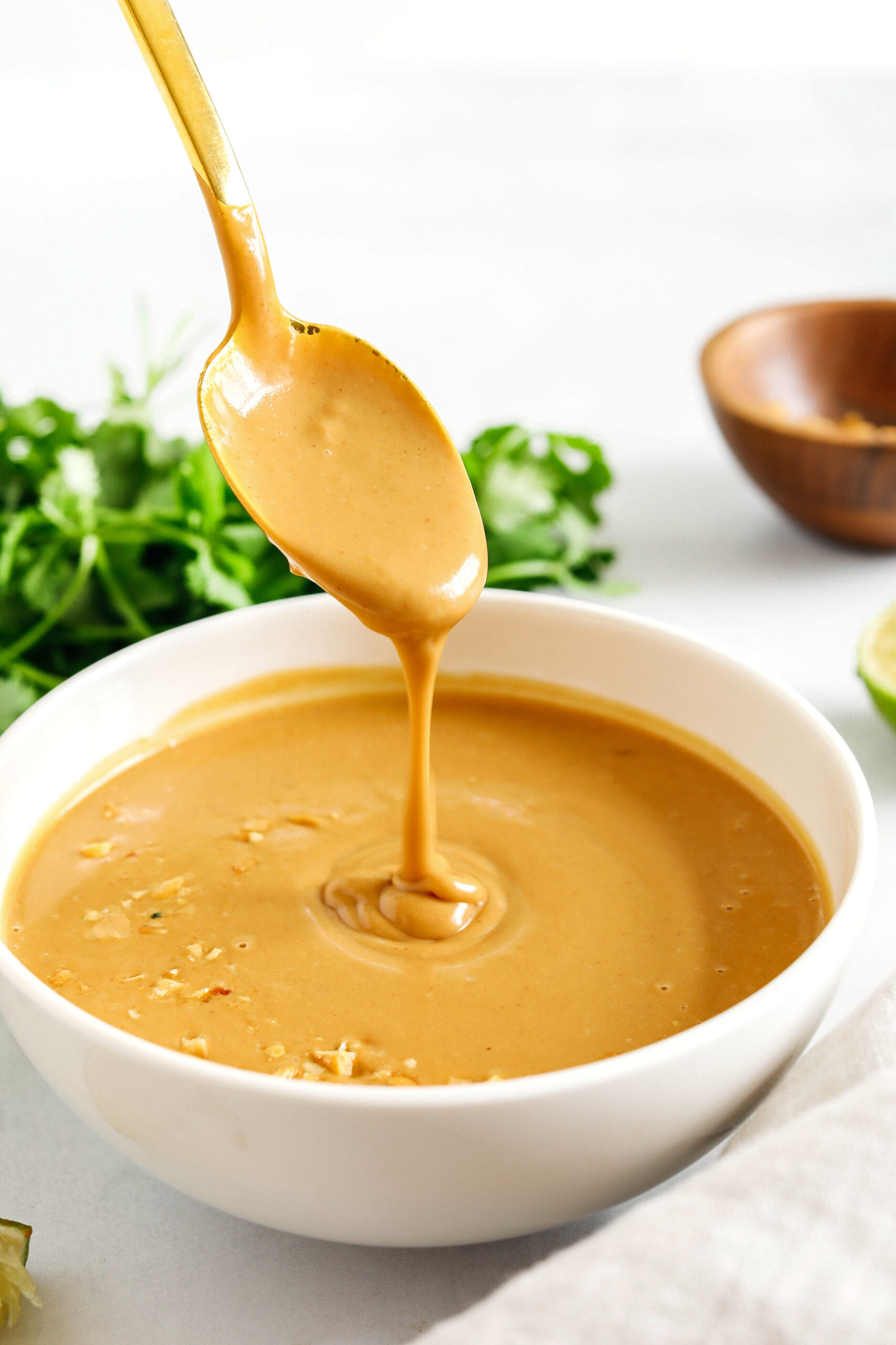 The most delicious Peanut Dipping Sauce loaded with flavors like garlic, ginger, lime and honey all easily made in just 5 minutes! Perfect drizzled over chicken, noodles, salads, wraps and so much more!