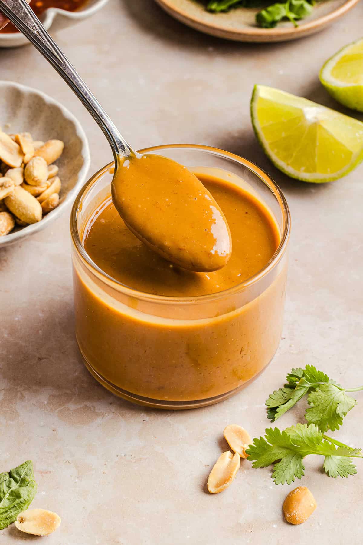 The most delicious Peanut Dipping Sauce loaded with flavors like garlic, ginger, lime and honey all easily made in just 5 minutes! Perfect drizzled over chicken, noodles, salads, wraps and so much more!