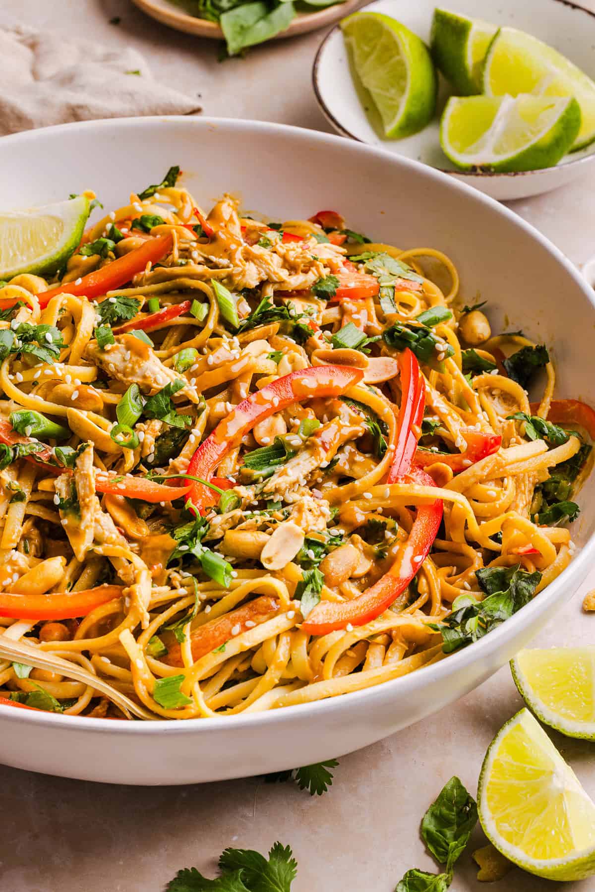 These Saucy Peanut Noodles are loaded with shredded chicken, bell pepper, green onions, crunchy peanuts and fresh herbs all tossed together in a delicious peanut sauce! Great for a weeknight dinner or meal prep lunch made in just 20 minutes!
