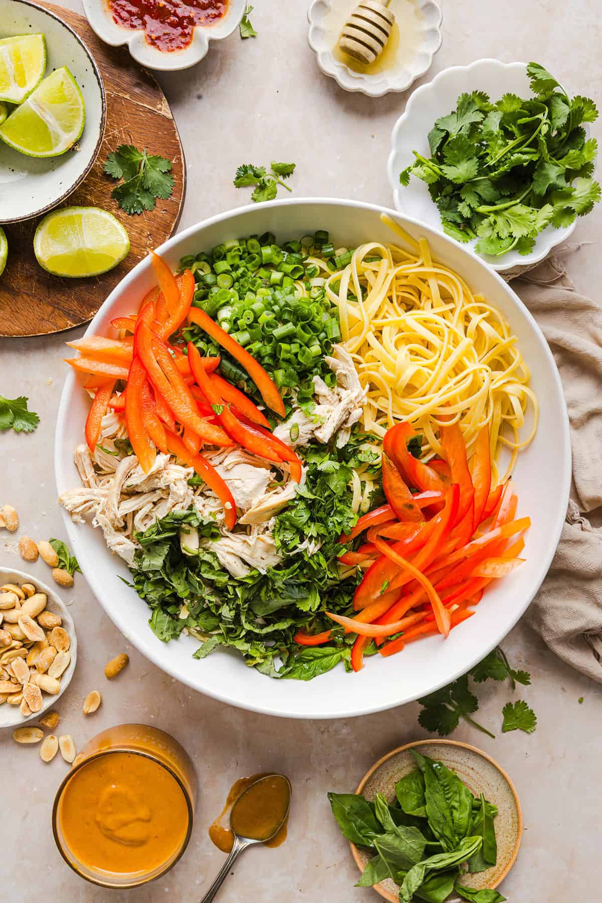 These Saucy Peanut Noodles are loaded with shredded chicken, bell pepper, green onions, crunchy peanuts and fresh herbs all tossed together in a delicious peanut sauce! Great for a weeknight dinner or meal prep lunch made in just 20 minutes!