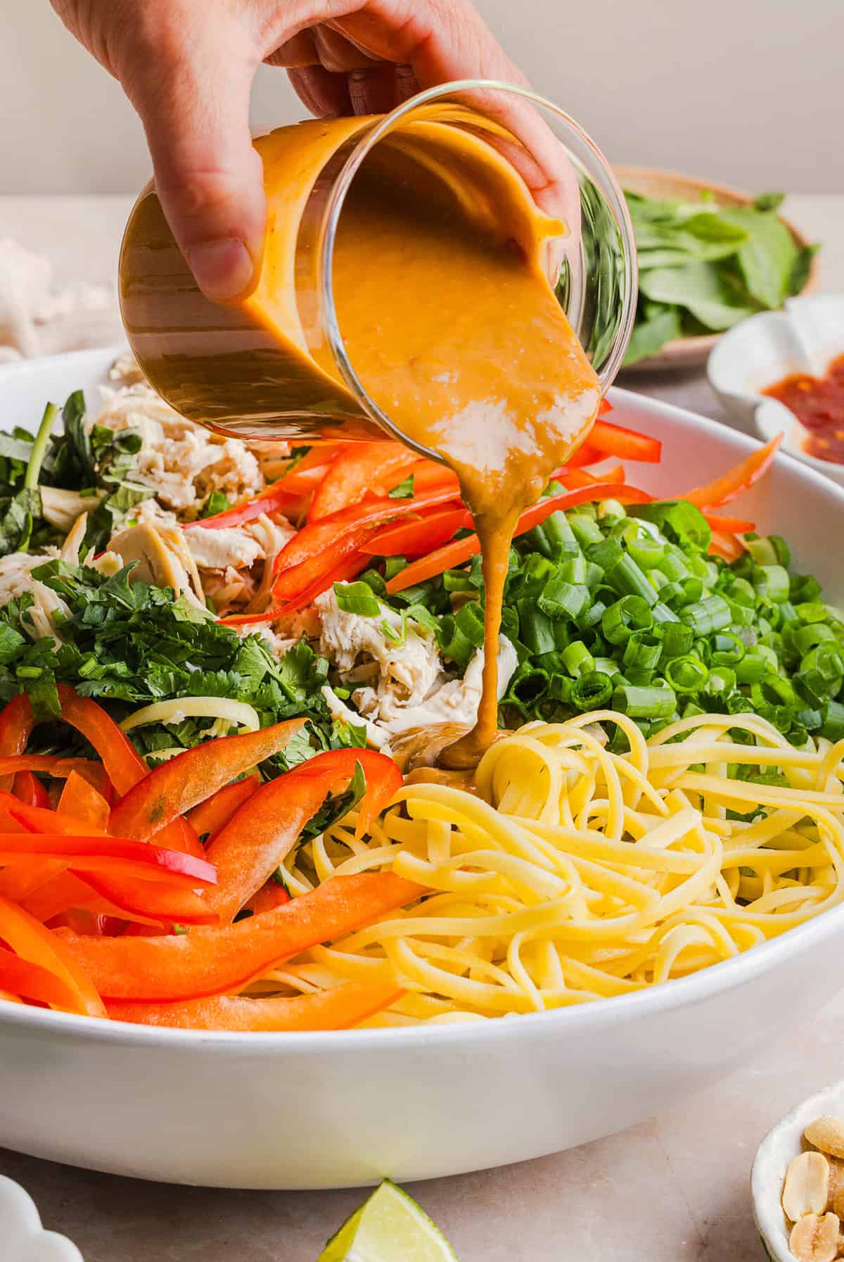 These Saucy Peanut Noodles are loaded with shredded chicken, bell pepper, green onions, crunchy peanuts and fresh herbs all tossed together in a delicious peanut sauce! Great for a weeknight dinner or meal prep lunch made in just 20 minutes!
