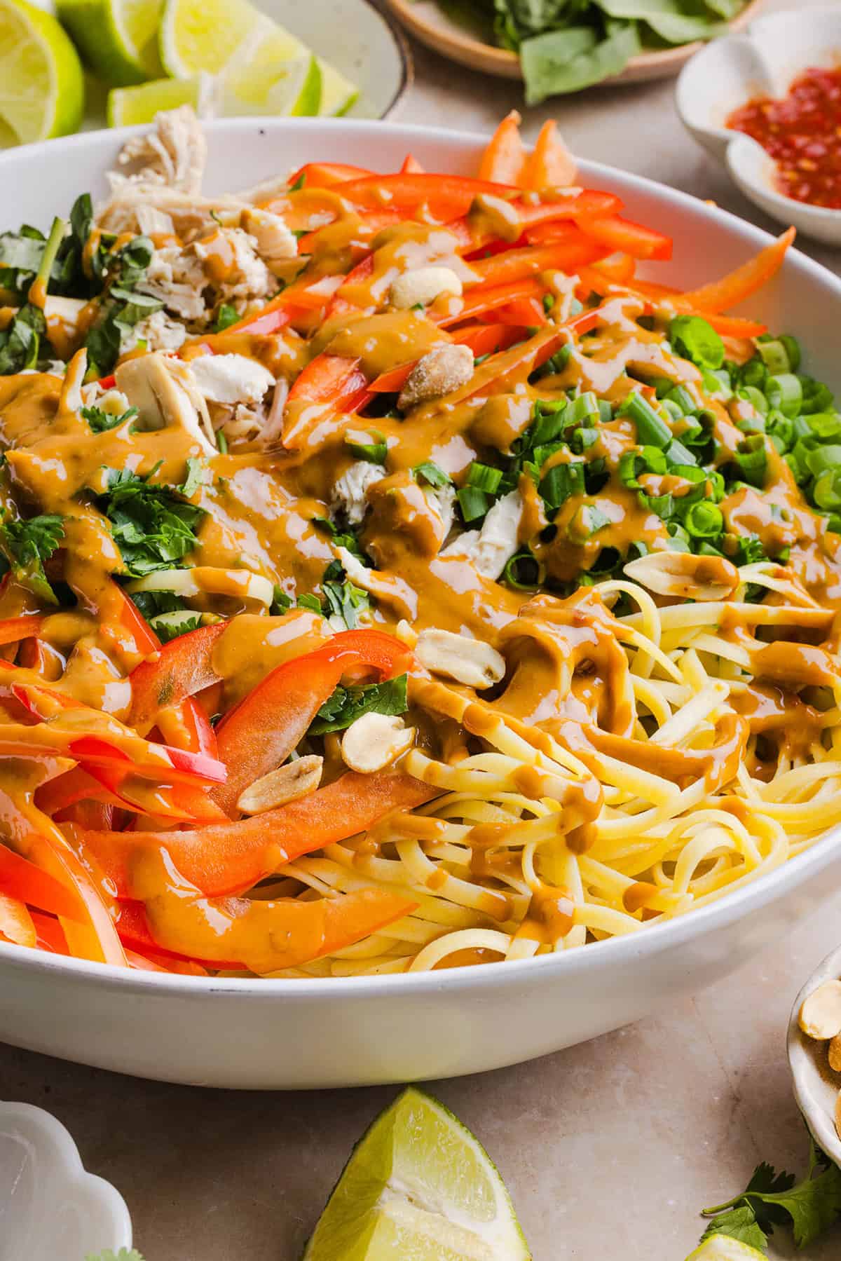 These Saucy Peanut Noodles are loaded with shredded chicken, bell pepper, green onions, crunchy peanuts and fresh herbs all tossed together in a delicious peanut sauce! Great for a weeknight dinner or meal prep lunch made in just 20 minutes!