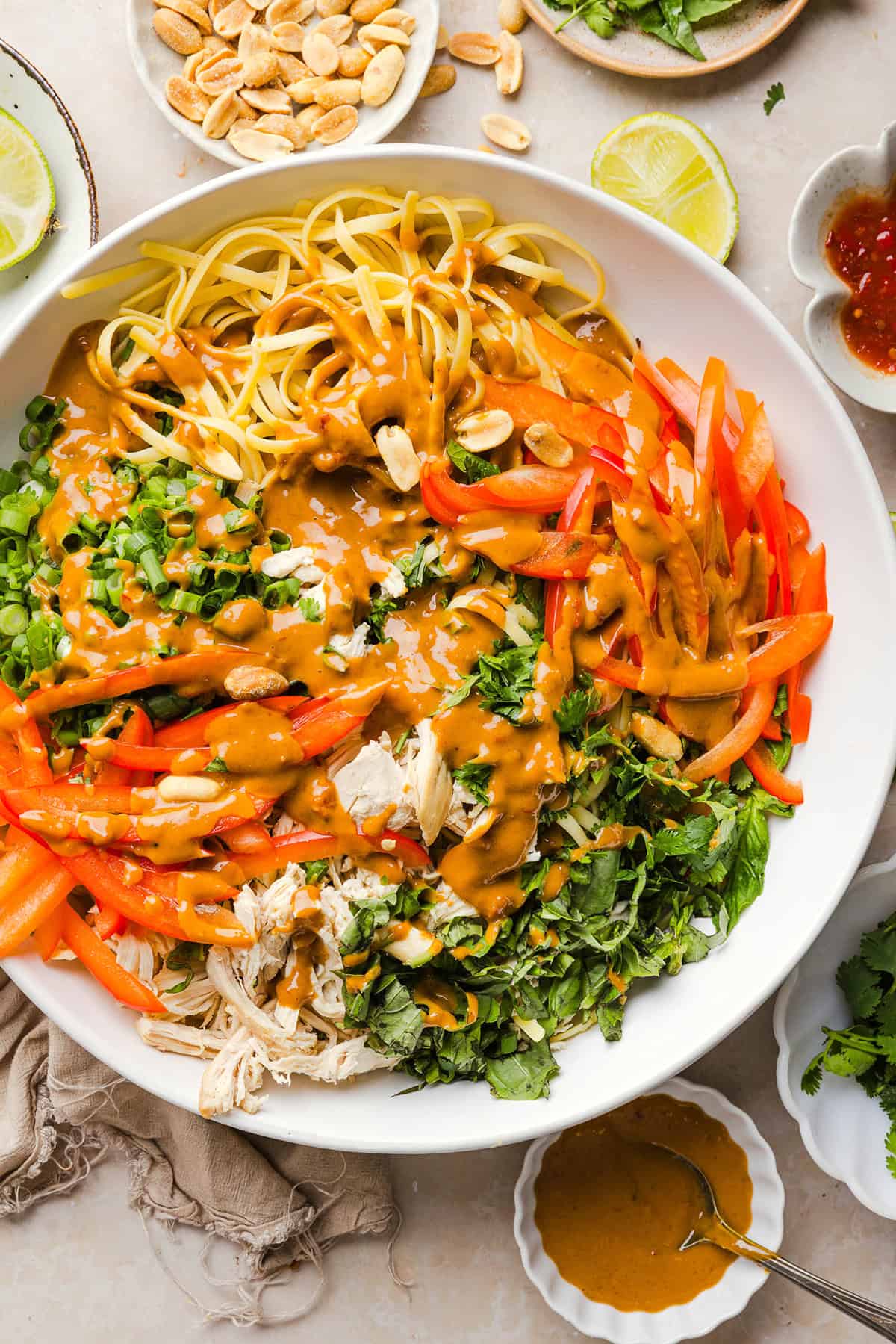These Saucy Peanut Noodles are loaded with shredded chicken, bell pepper, green onions, crunchy peanuts and fresh herbs all tossed together in a delicious peanut sauce! Great for a weeknight dinner or meal prep lunch made in just 20 minutes!