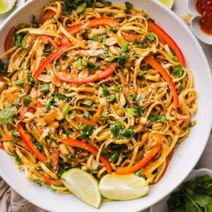 These Saucy Peanut Noodles are loaded with shredded chicken, bell pepper, green onions, crunchy peanuts and fresh herbs all tossed together in a delicious peanut sauce! Great for a weeknight dinner or meal prep lunch made in just 20 minutes!