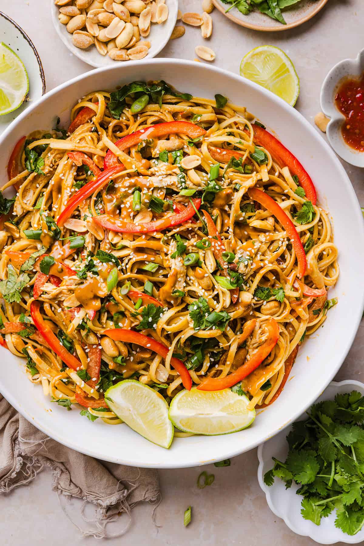 These Saucy Peanut Noodles are loaded with shredded chicken, bell pepper, green onions, crunchy peanuts and fresh herbs all tossed together in a delicious peanut sauce! Great for a weeknight dinner or meal prep lunch made in just 20 minutes!