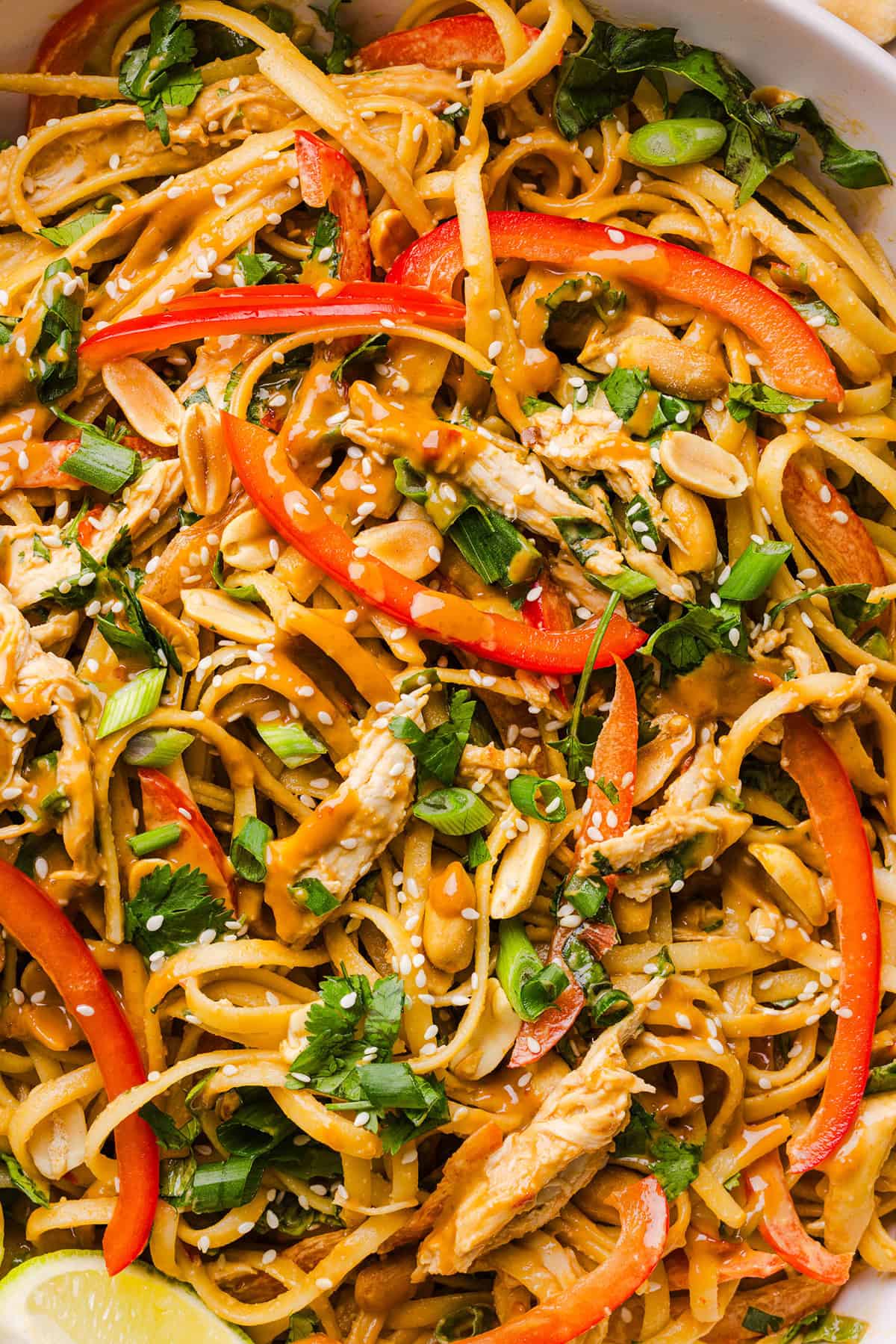 These Saucy Peanut Noodles are loaded with shredded chicken, bell pepper, green onions, crunchy peanuts and fresh herbs all tossed together in a delicious peanut sauce! Great for a weeknight dinner or meal prep lunch made in just 20 minutes!