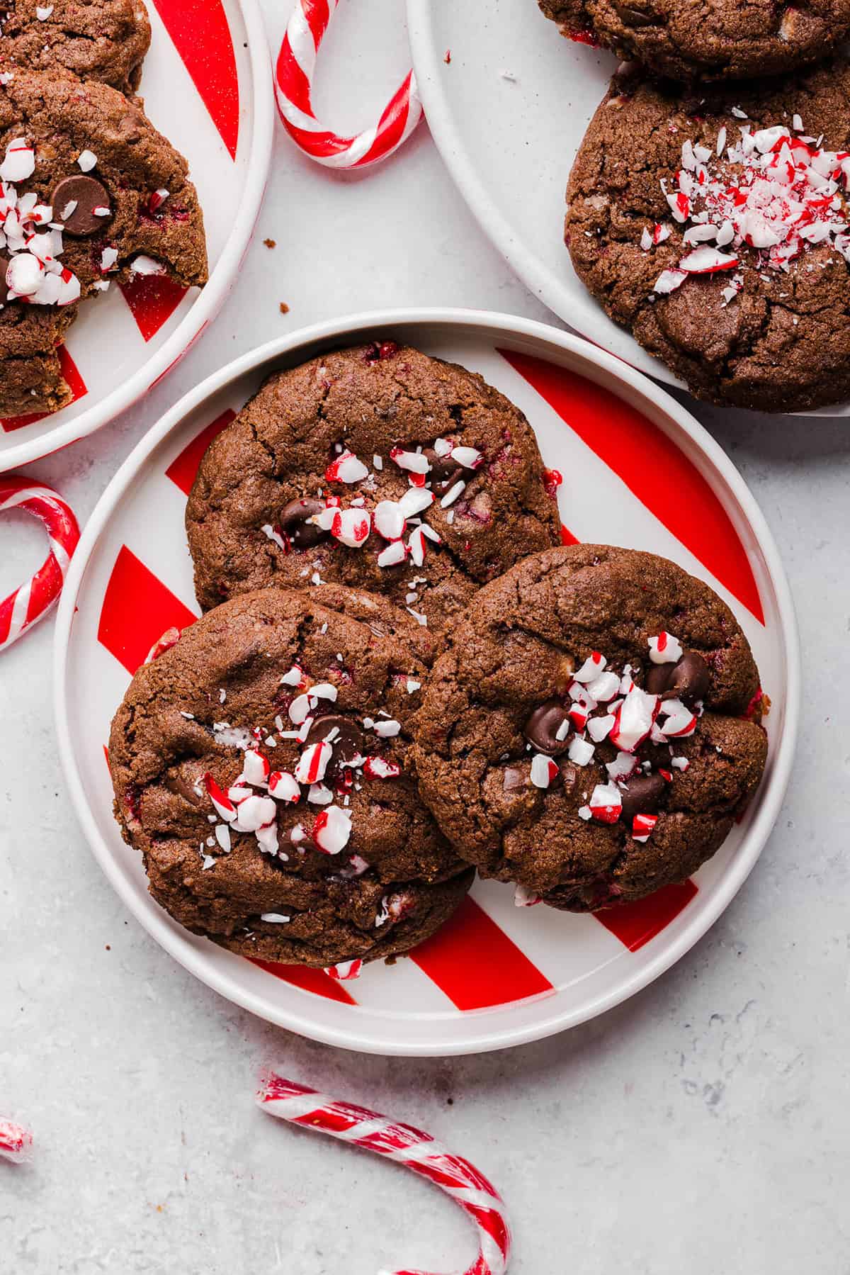 Chocolate peppermint Christmas cookies with candy cane pieces