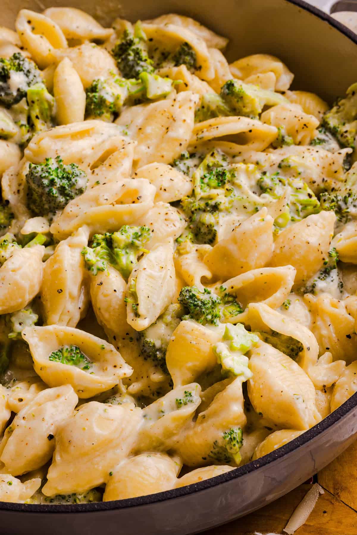 One pot creamy broccoli cheddar pasta with tender pasta shells and chopped broccoli in a cheesy sauce.