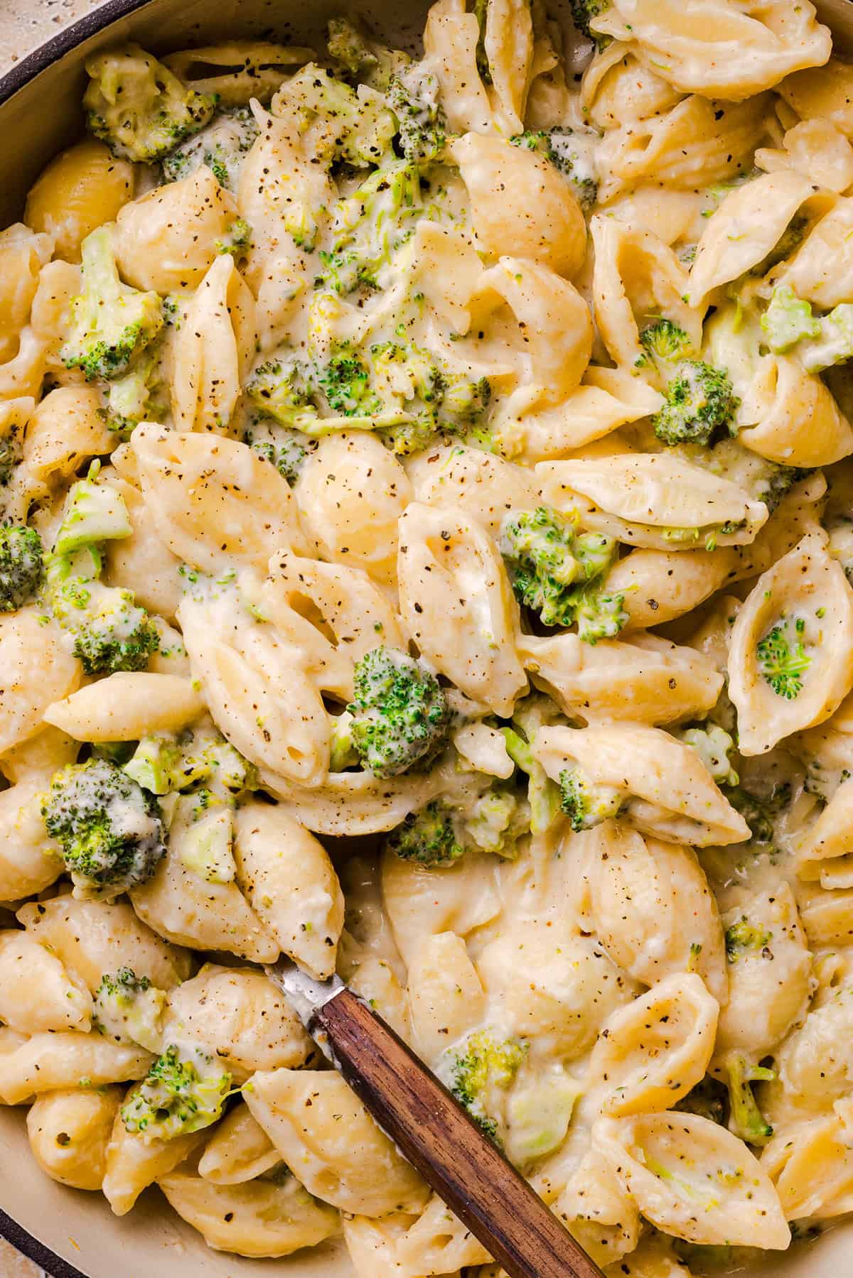 One pot creamy broccoli cheddar pasta with tender pasta shells and chopped broccoli in a cheesy sauce.